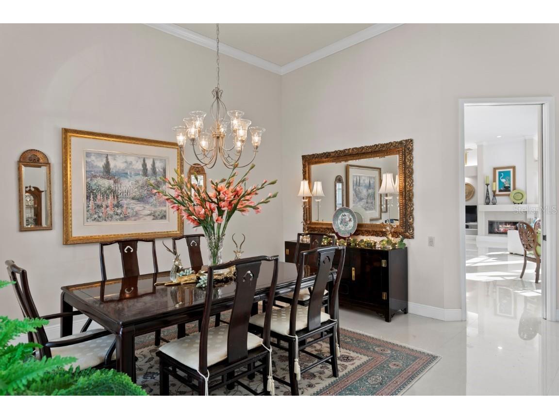 16333 Birkdale Drive Odessa FL 33556 TB8457188 image22