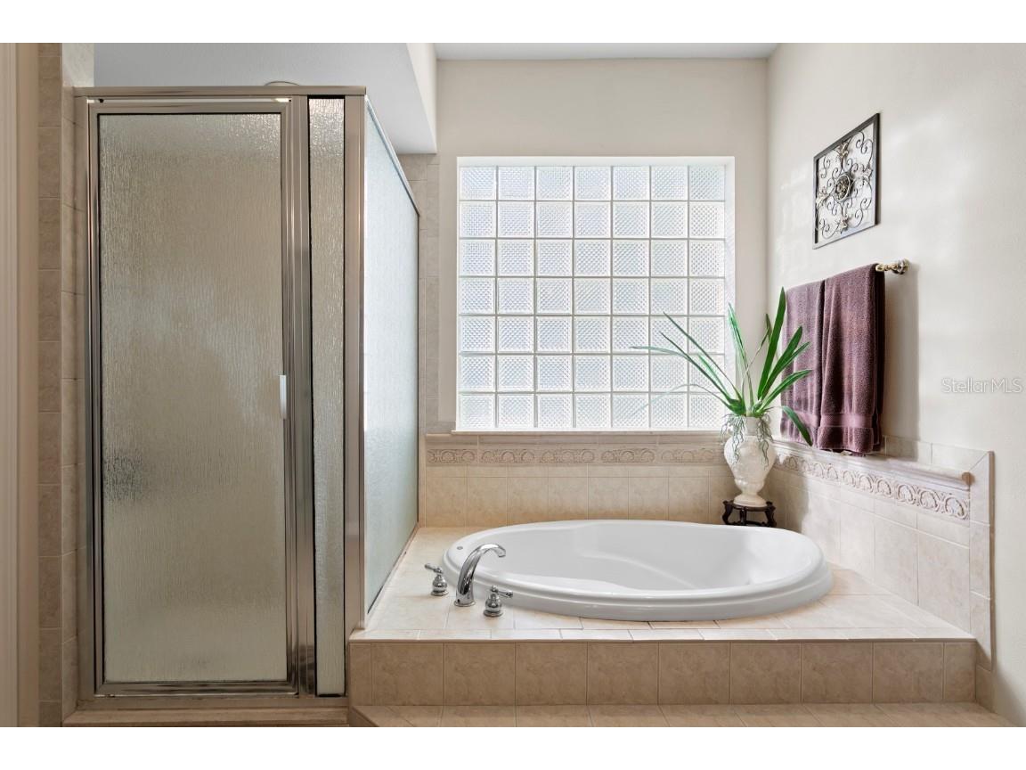 16333 Birkdale Drive Odessa FL 33556 TB8457188 image42