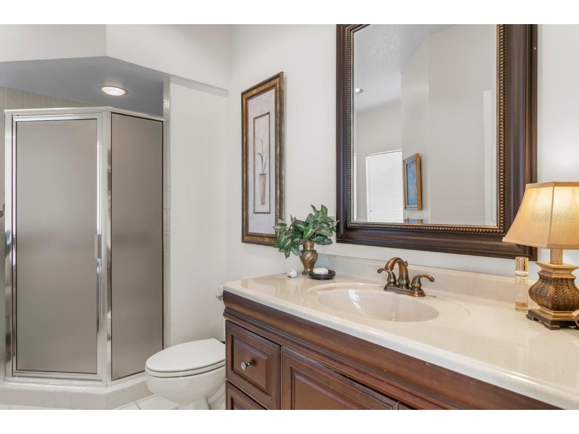 16333 Birkdale Drive Odessa FL 33556 TB8457188 image55