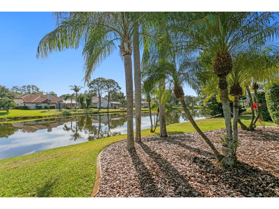 16333 Birkdale Drive Odessa FL 33556 TB8457188 image67