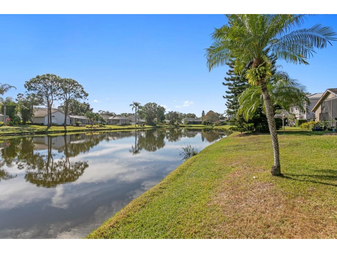 16333 Birkdale Drive Odessa FL 33556 TB8457188 image68