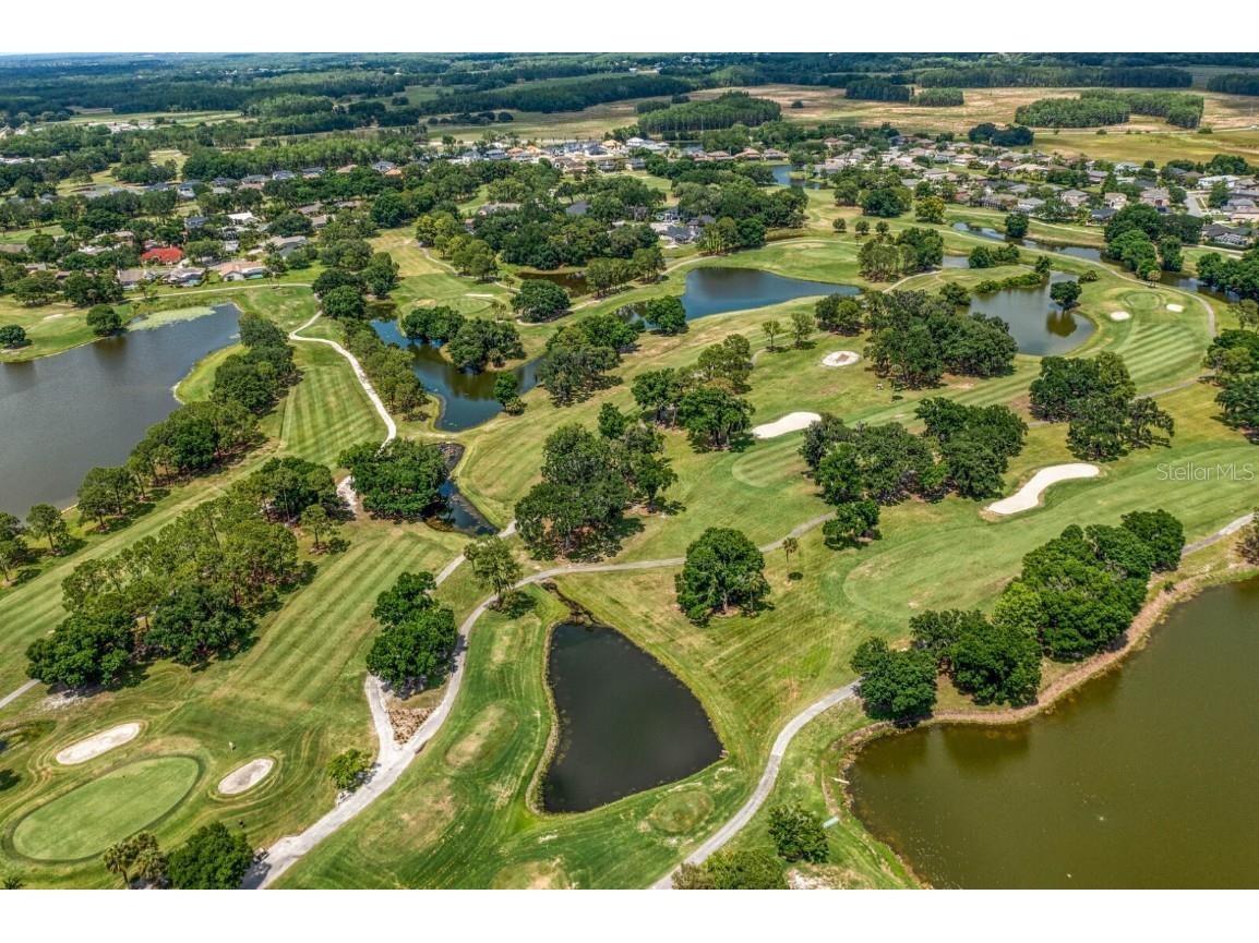 16333 Birkdale Drive Odessa FL 33556 TB8457188 image76