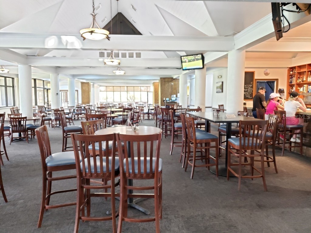 16333 Birkdale Drive Odessa FL 33556 TB8457188 image77