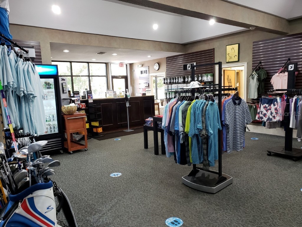 16333 Birkdale Drive Odessa FL 33556 TB8457188 image78