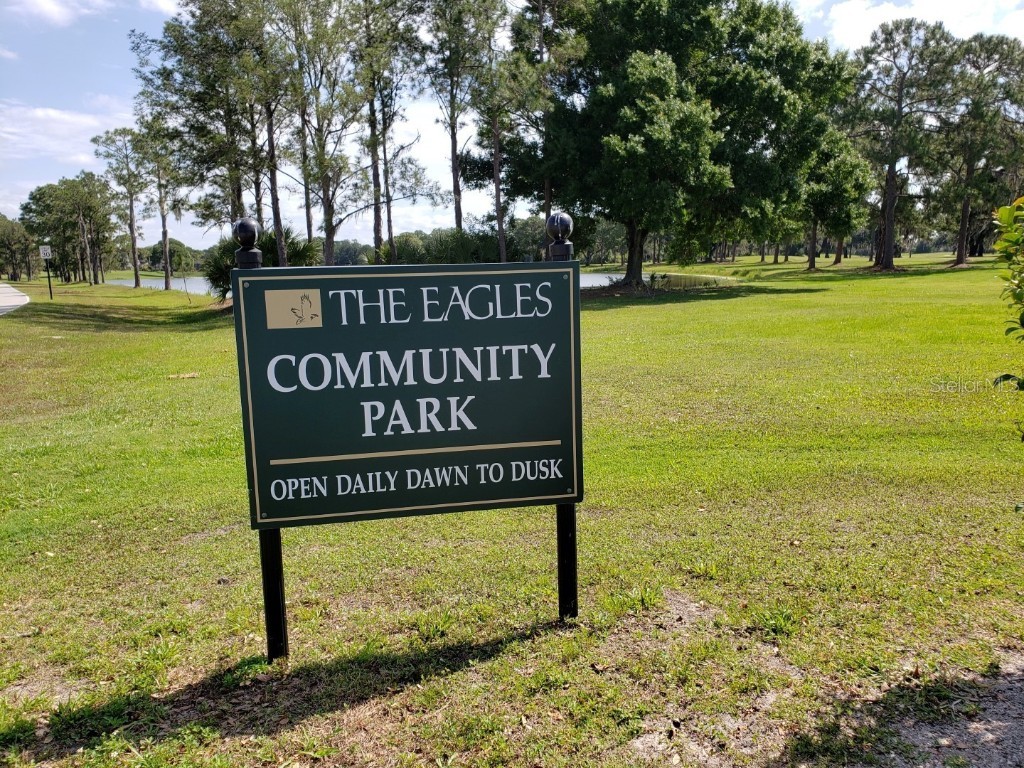 16333 Birkdale Drive Odessa FL 33556 TB8457188 image79