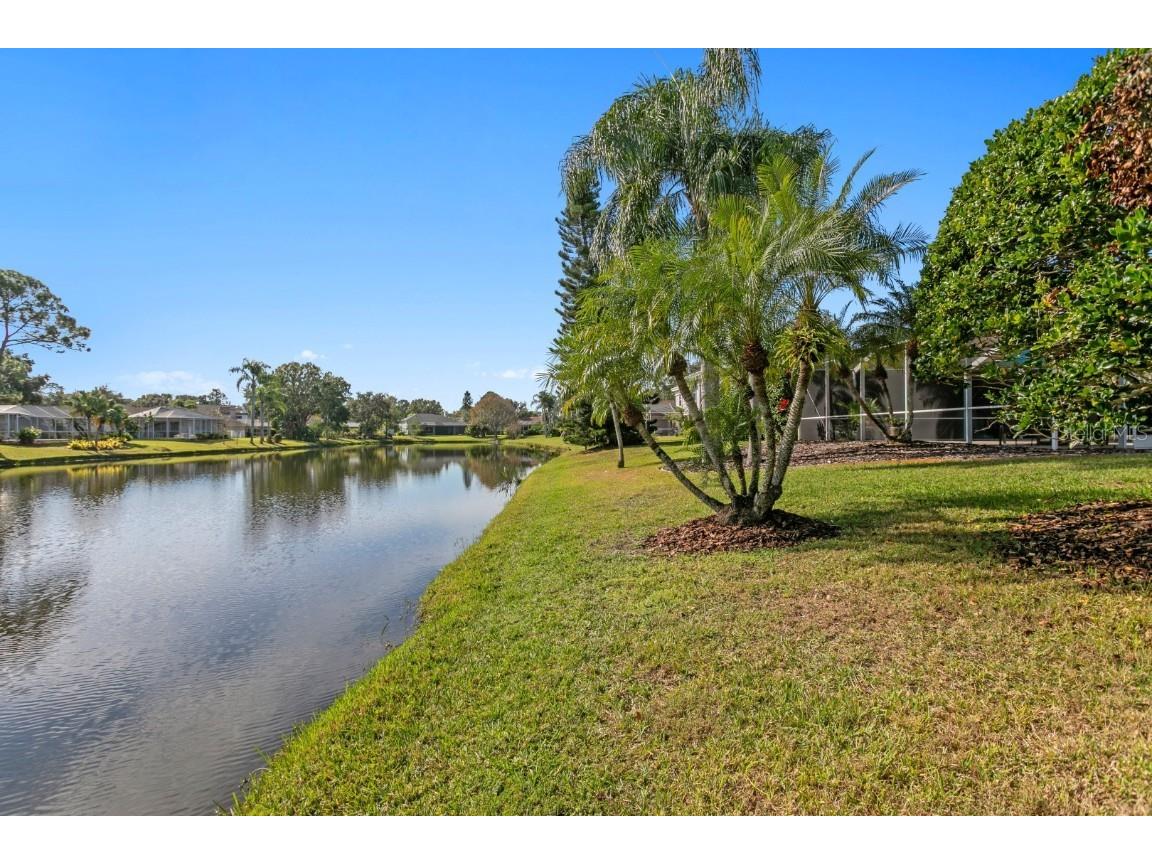 16333 Birkdale Drive Odessa FL 33556 TB8457188 image8