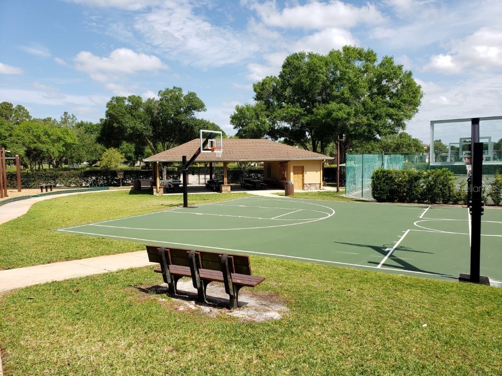 16333 Birkdale Drive Odessa FL 33556 TB8457188 image80