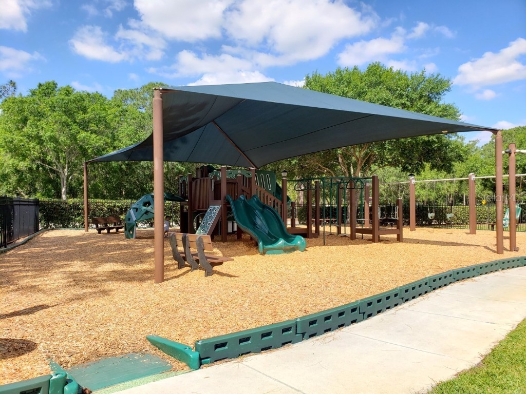 16333 Birkdale Drive Odessa FL 33556 TB8457188 image83