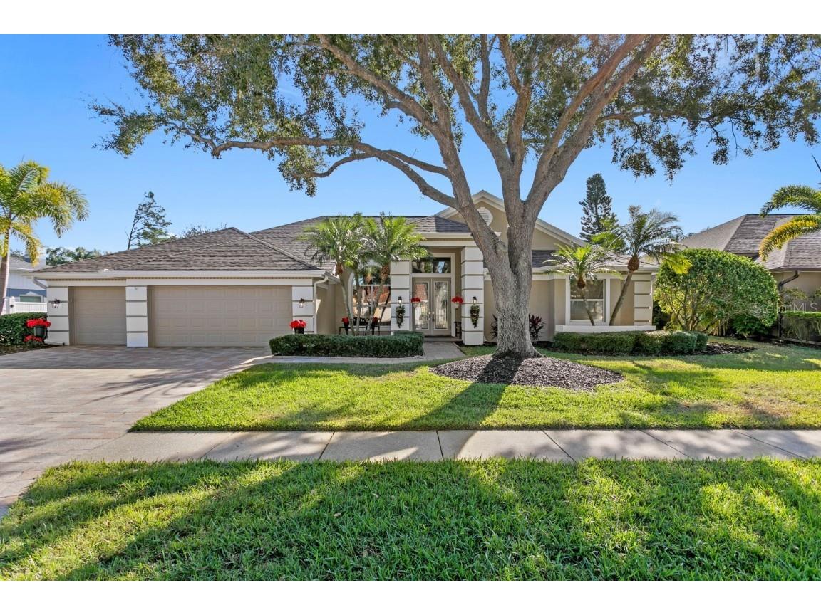 16333 Birkdale Drive Odessa FL 33556 TB8457188 image9