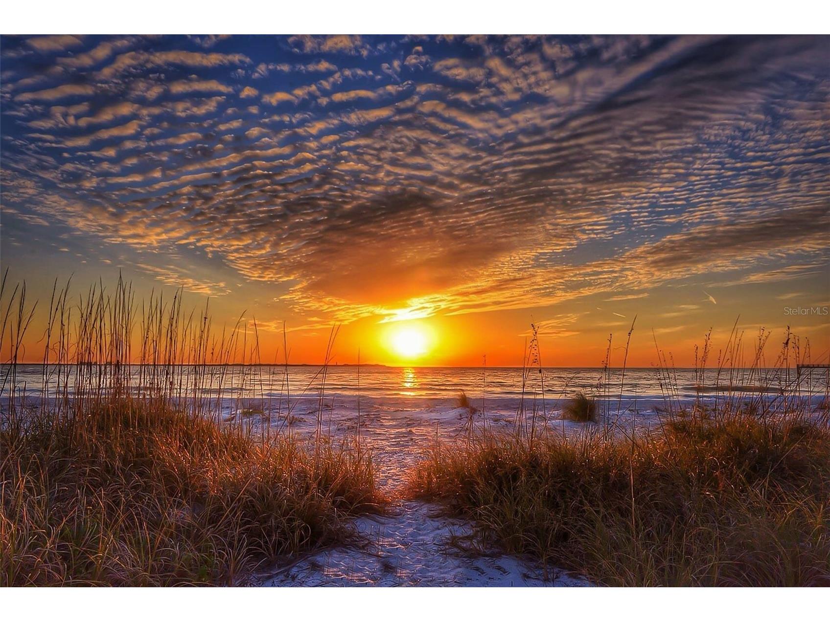 16333 Gulf Boulevard #113 Redington Beach FL 33708 TB8511418 image26