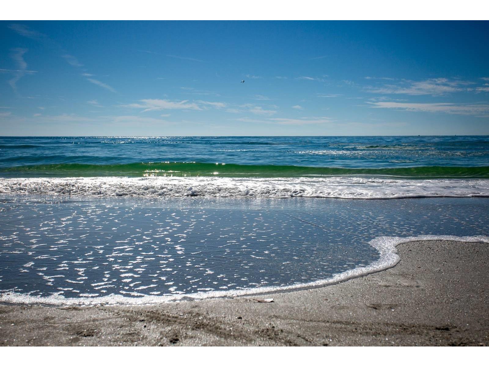 16333 Gulf Boulevard #204 Redington Beach FL 33708 TB8420756 image26