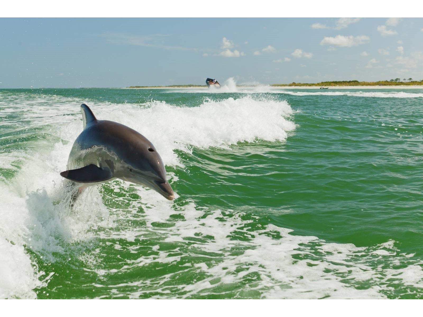 16333 Gulf Boulevard #204 Redington Beach FL 33708 TB8420756 image35