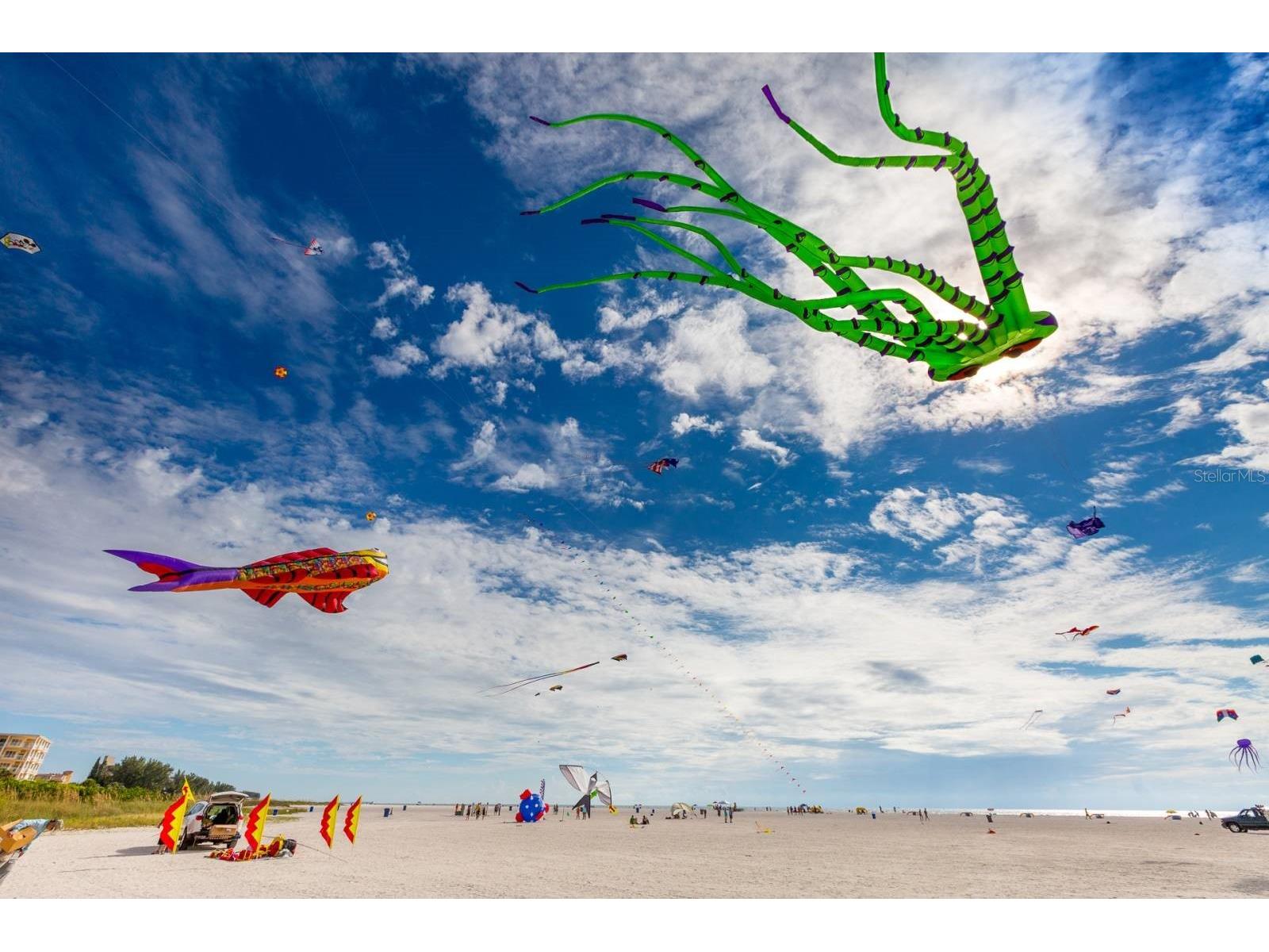 16333 Gulf Boulevard #204 Redington Beach FL 33708 TB8420756 image39