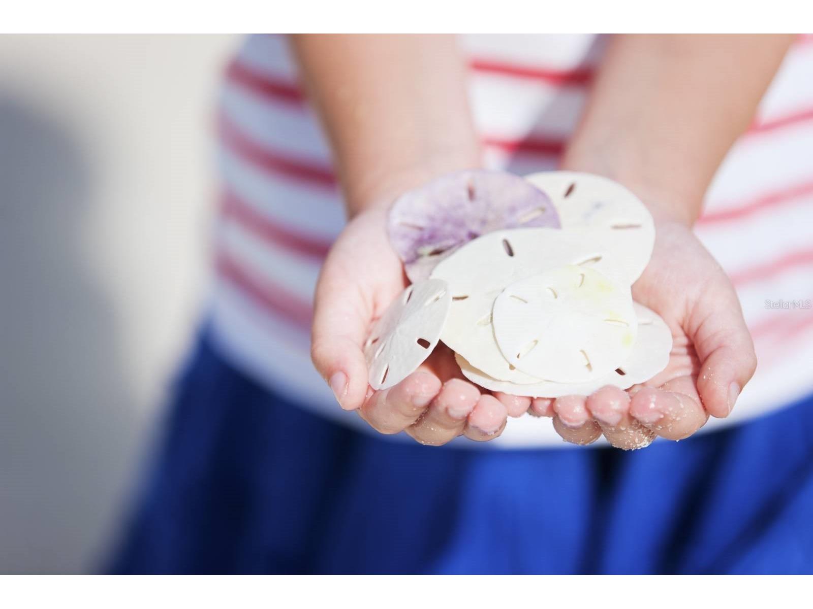 16333 Gulf Boulevard #204 Redington Beach FL 33708 TB8420756 image40