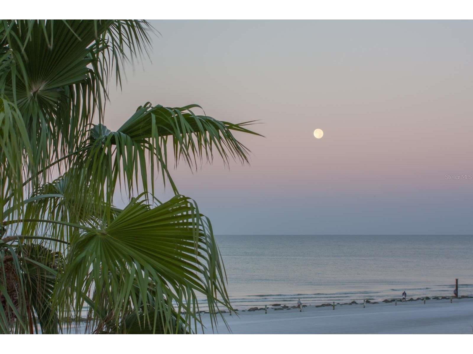 16333 Gulf Boulevard #204 Redington Beach FL 33708 TB8420756 image43