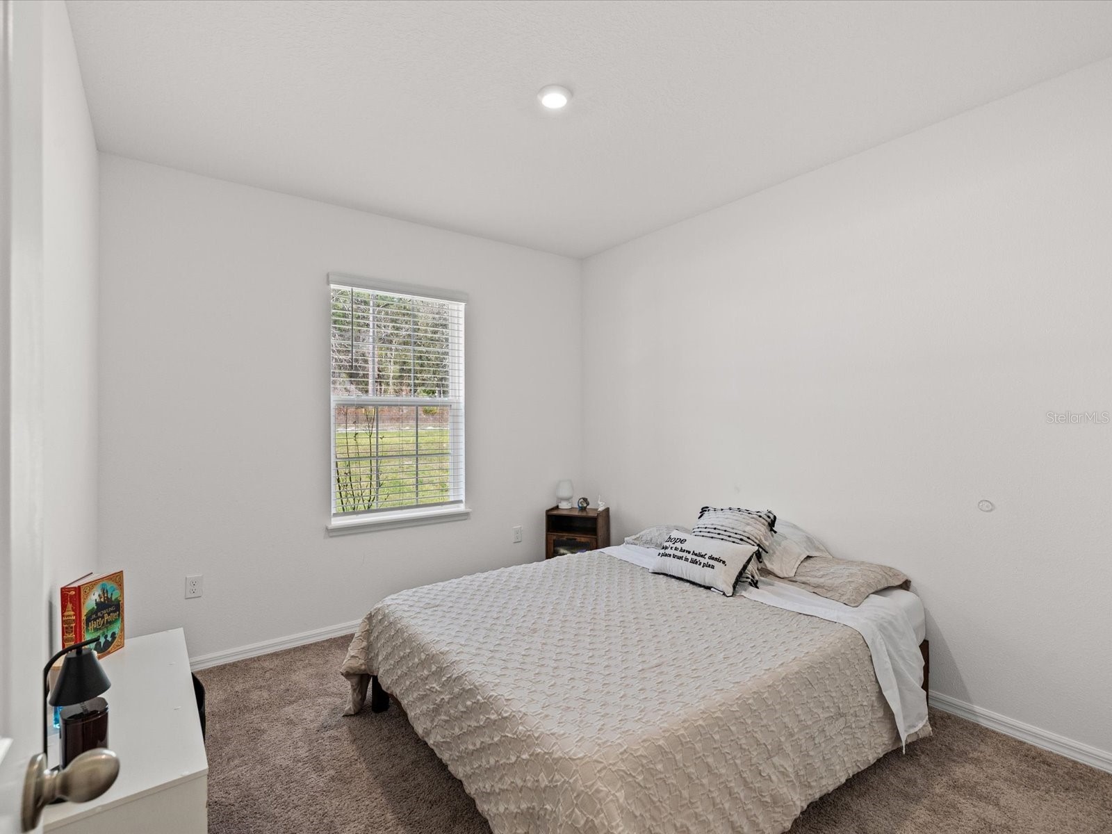 16334 Frost Bird Road Weeki Wachee FL 34614 W7883883 image17