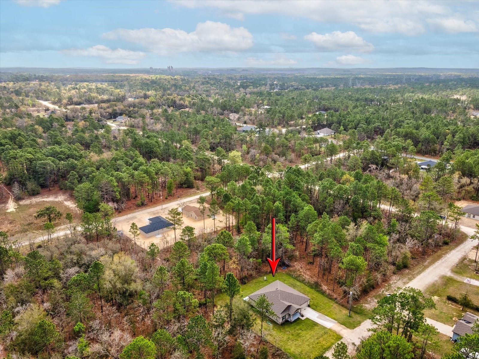 16334 Frost Bird Road Weeki Wachee FL 34614 W7883883 image40