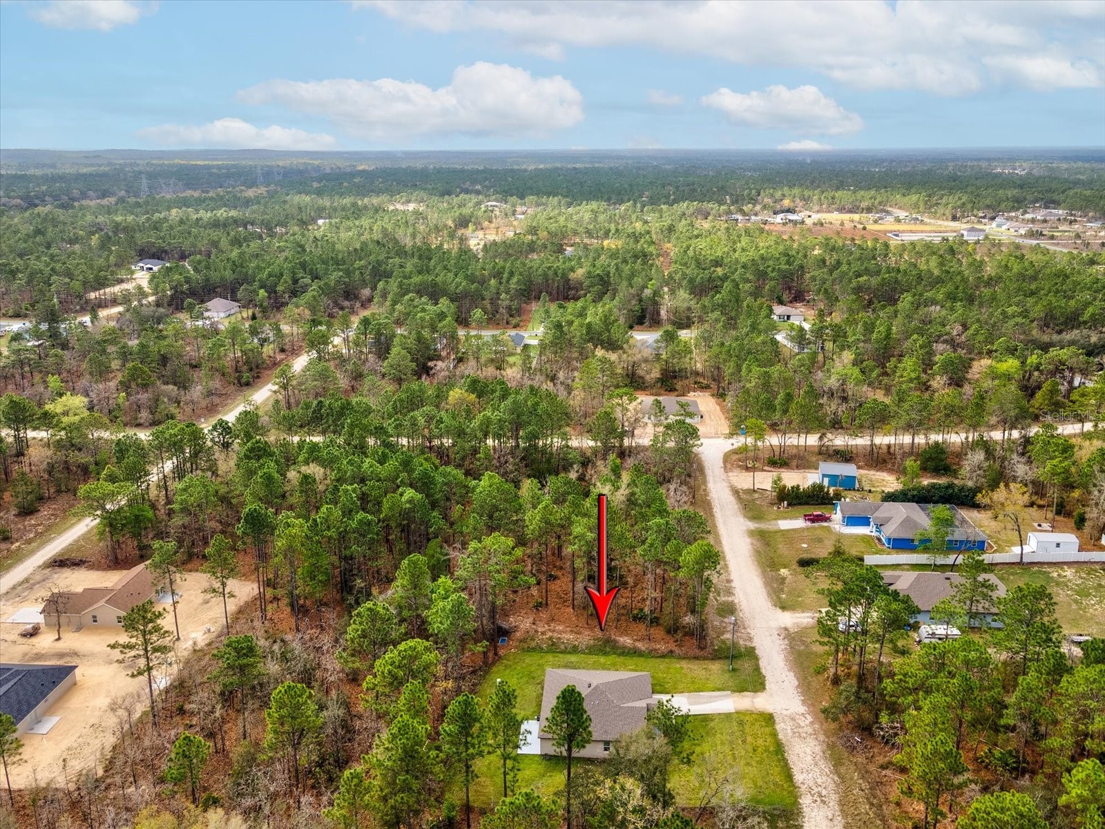 16334 Frost Bird Road Weeki Wachee FL 34614 W7883883 image41