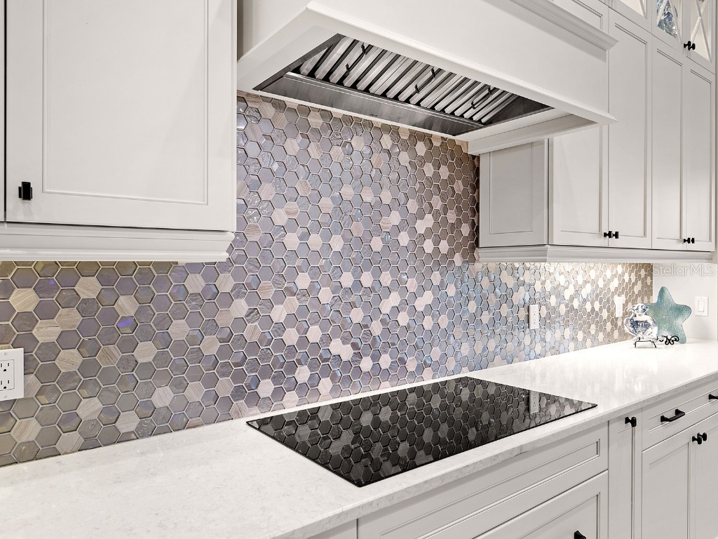 16336 Daysailor Trail Lakewood Ranch FL 34202 A4659298 image28