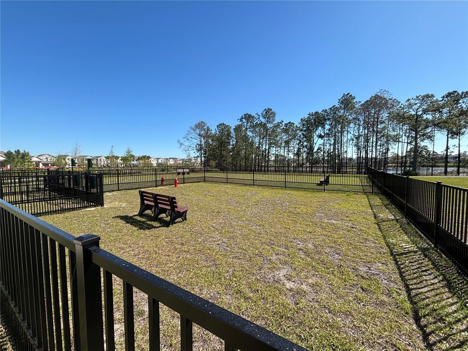 16337 Honey Harvest Street Winter Garden FL 34787 O6401987 image20