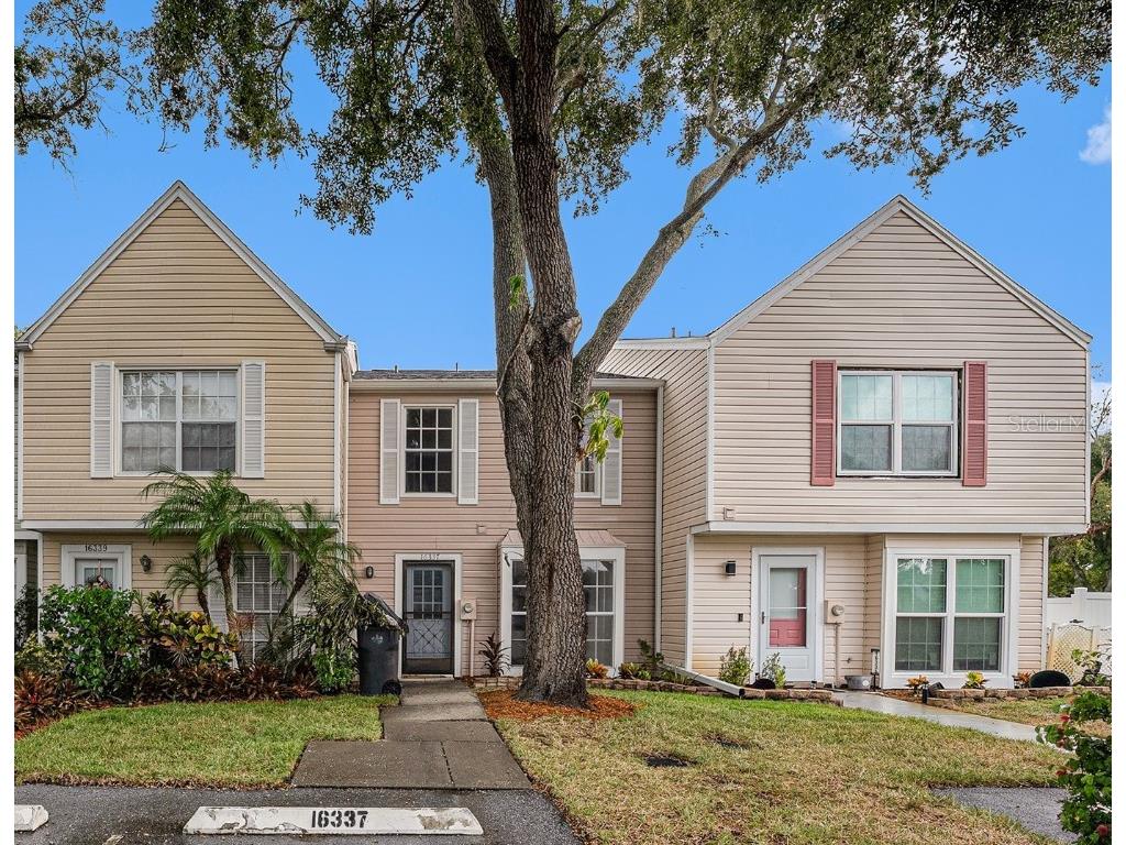 16337 Rambling Vine Drive W Tampa FL 33624 TB8304385 image1