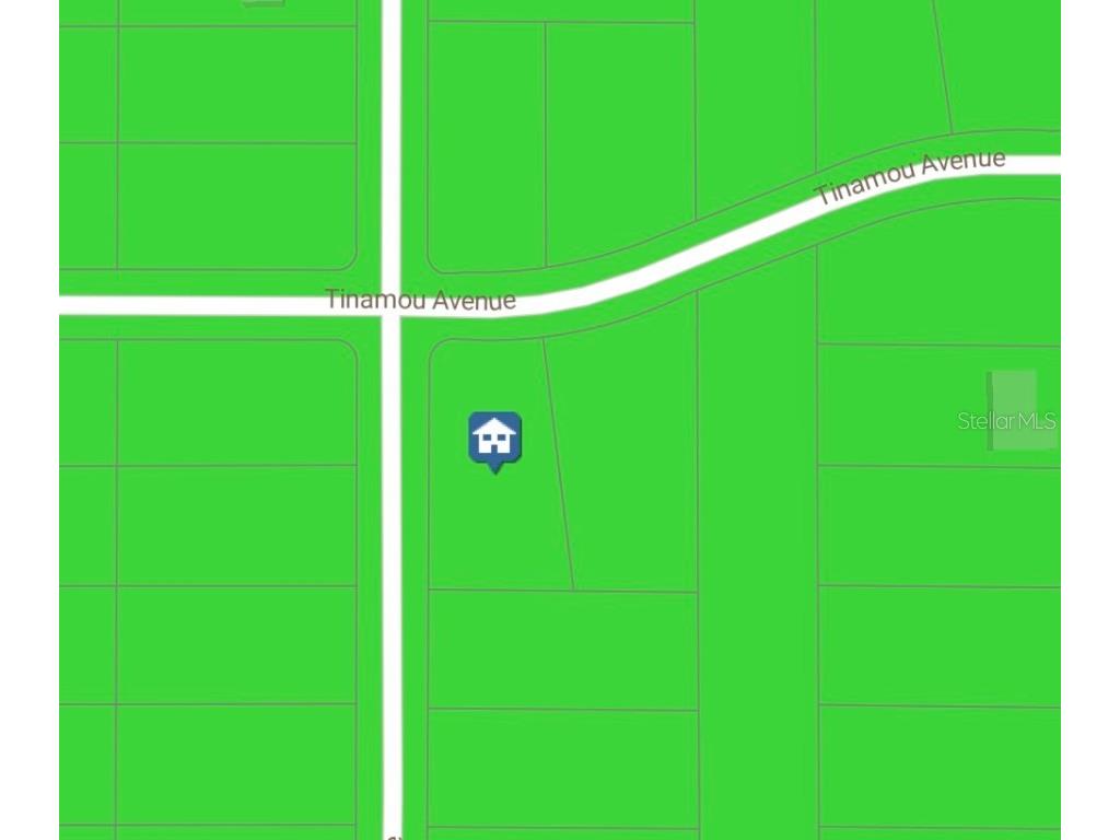 16338 Scaup Duck Avenue Weeki Wachee FL 34614 W7875868 image1
