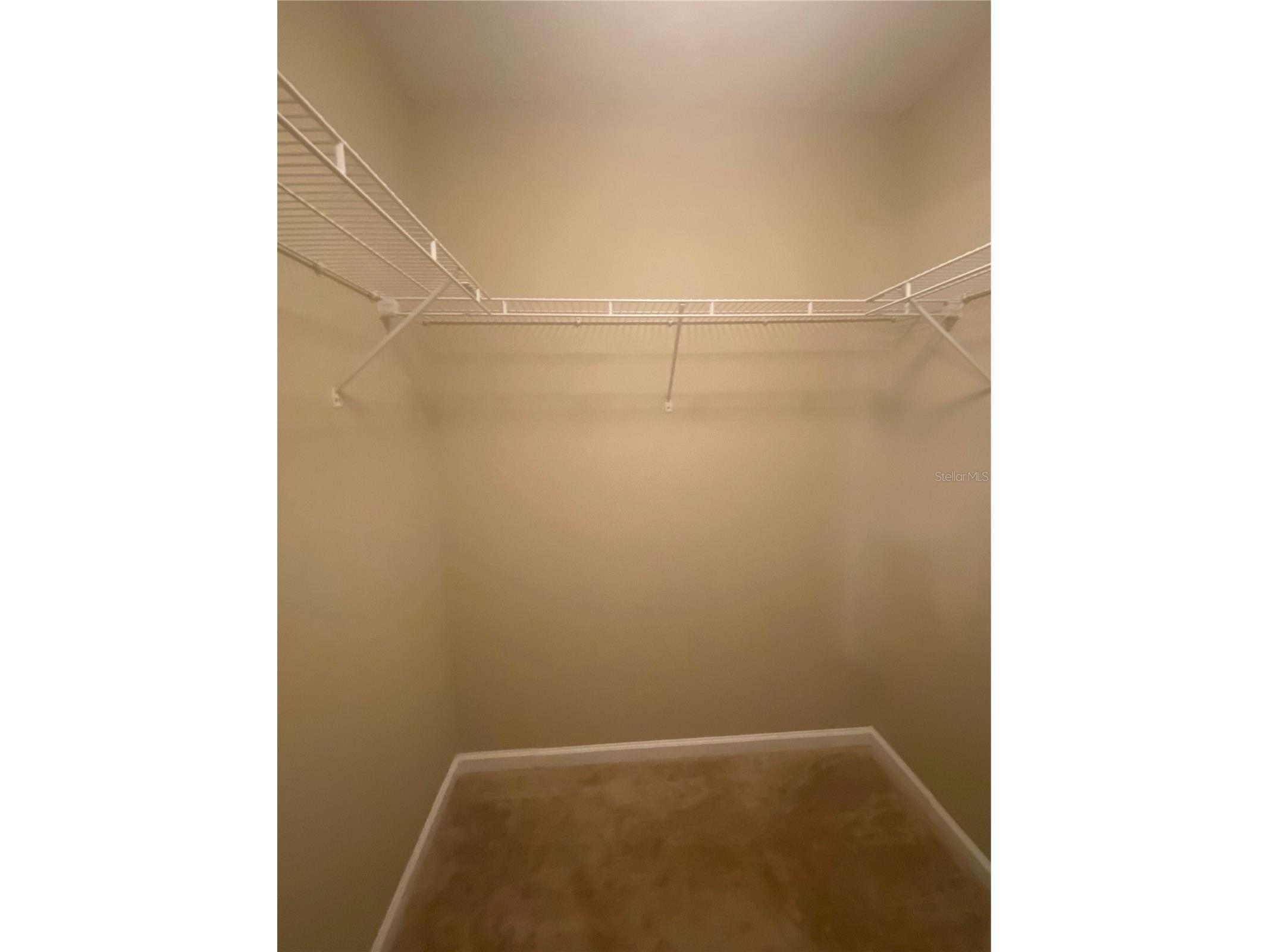 16339 Old Ash Loop Orlando FL 32828 O6418188 image11