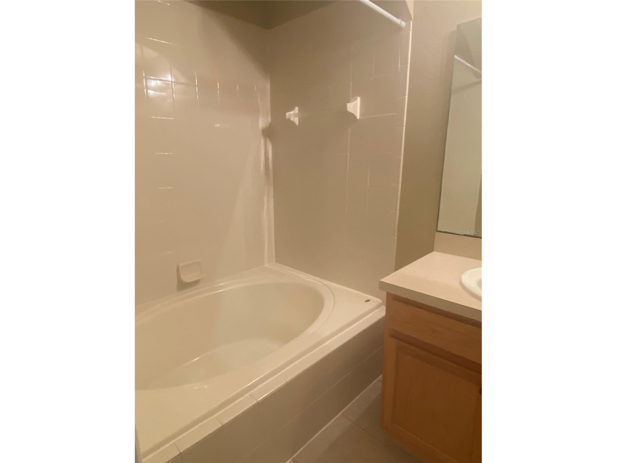 16339 Old Ash Loop Orlando FL 32828 O6418188 image9