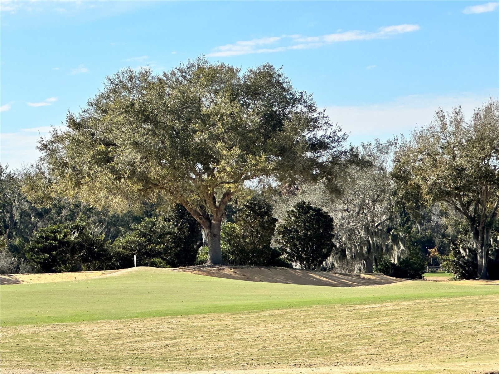 16339 Ravenna Court Montverde FL 34756 - LAKE SIENA G5107312 image1