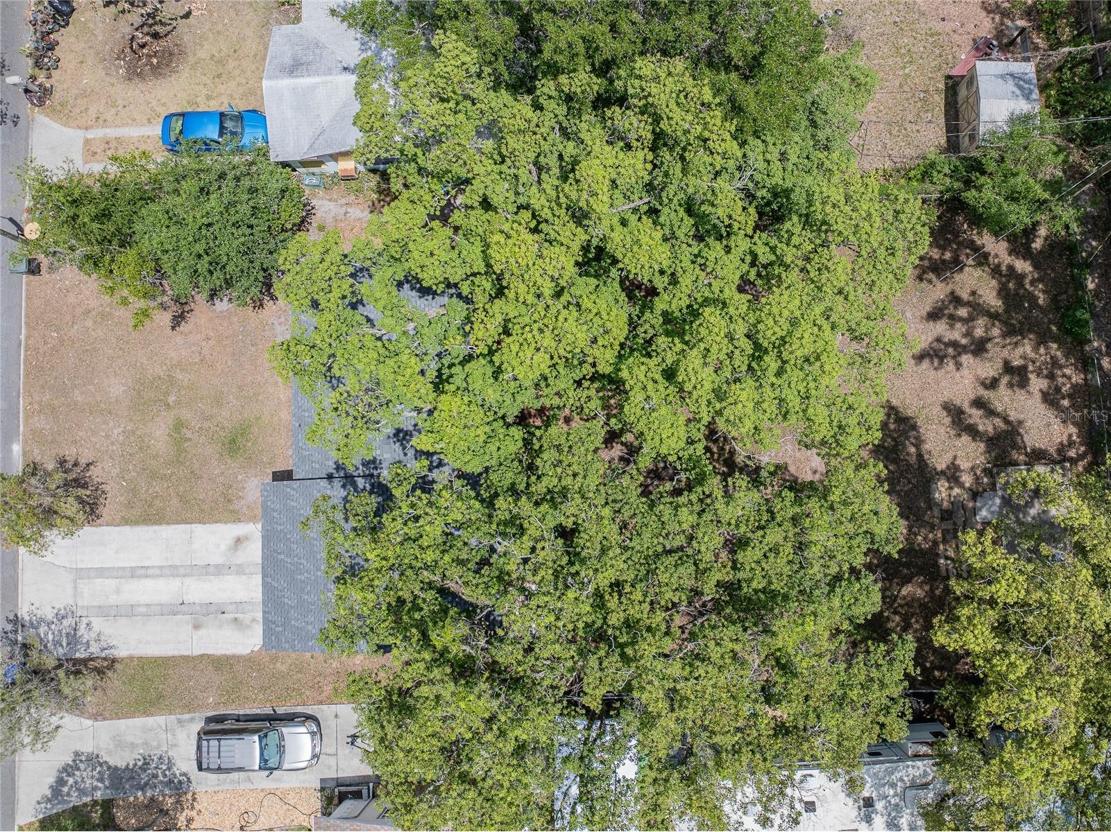 1634 S Warren Avenue Lakeland FL 33803 P4938681 image4