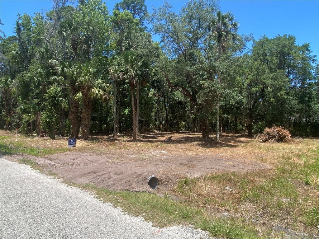 1634 Shell Harbor Road Pierson FL 32180 - Lake George G5064031 image1