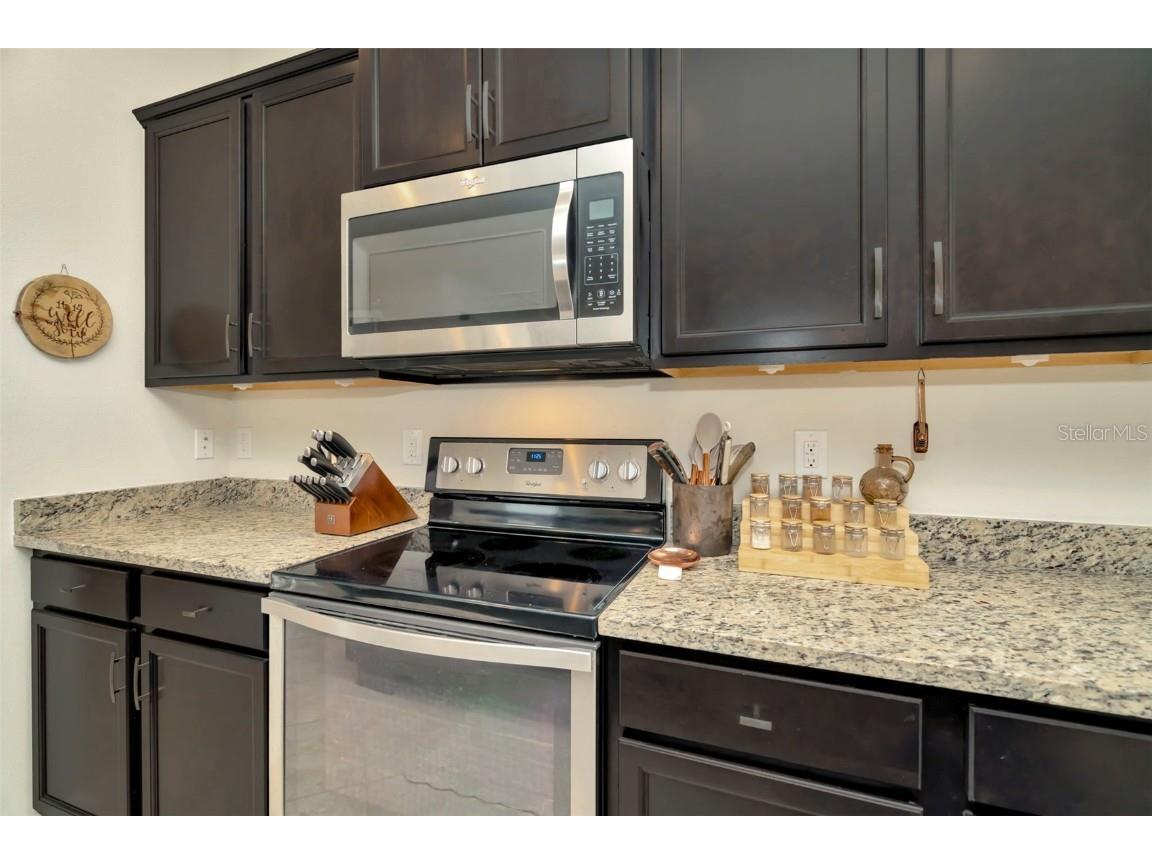 16340 Treasure Point Drive Wimauma FL 33598 TB8335831 image25