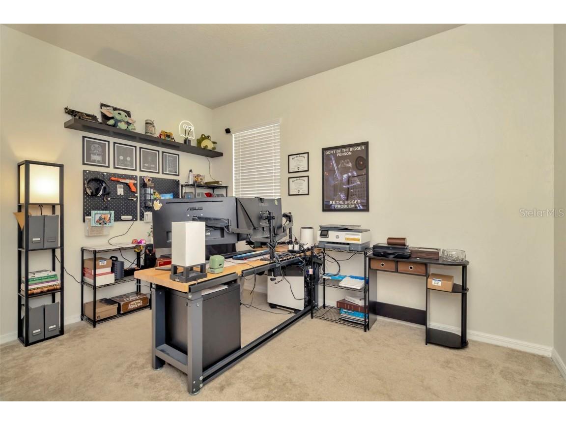 16340 Treasure Point Drive Wimauma FL 33598 TB8335831 image29