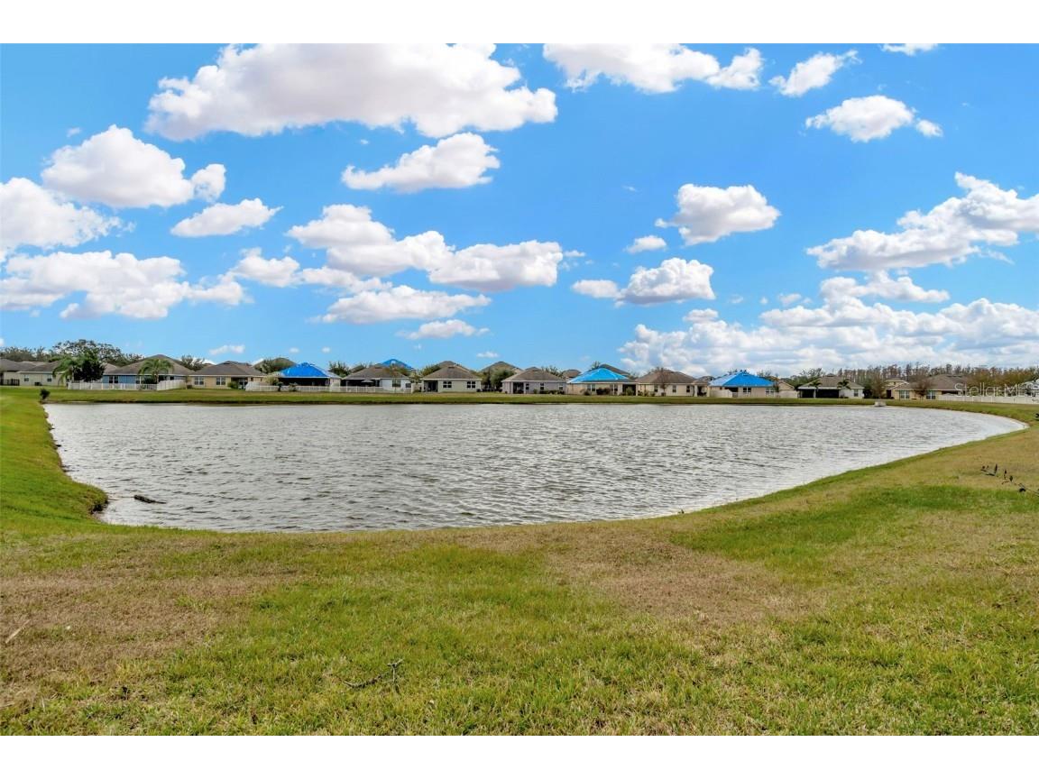 16340 Treasure Point Drive Wimauma FL 33598 TB8335831 image36