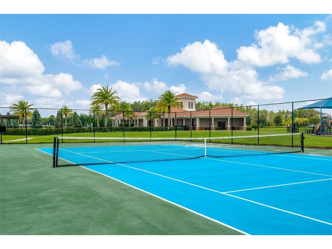 16340 Treasure Point Drive Wimauma FL 33598 TB8335831 image43