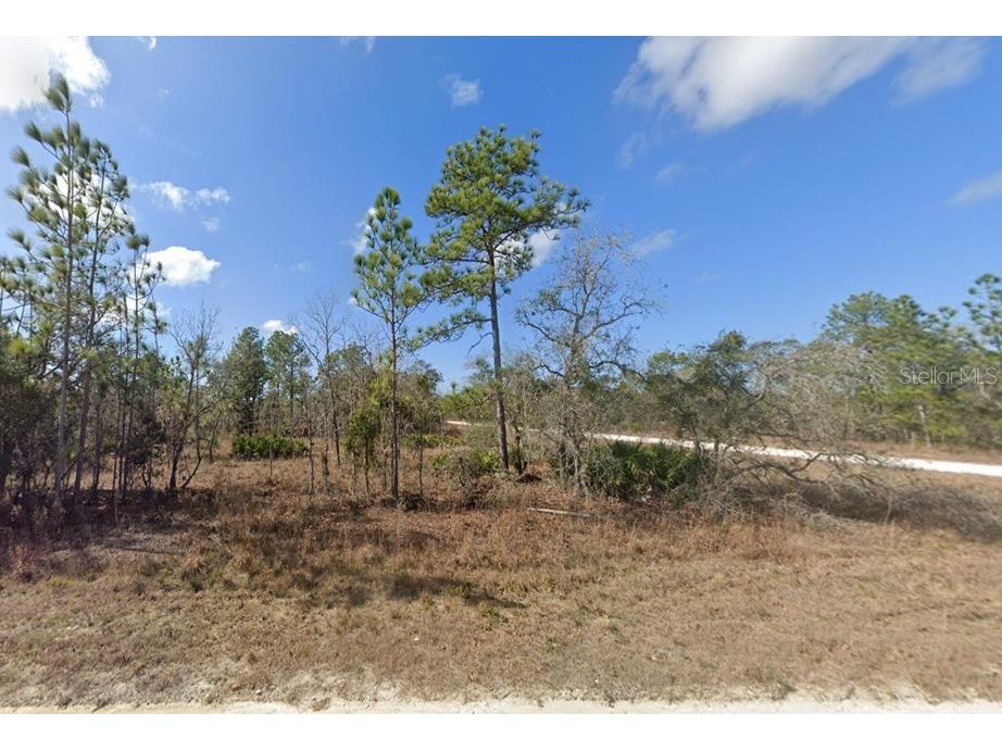 16341 Kingbird Road Brooksville FL 34614 W7879908 image1
