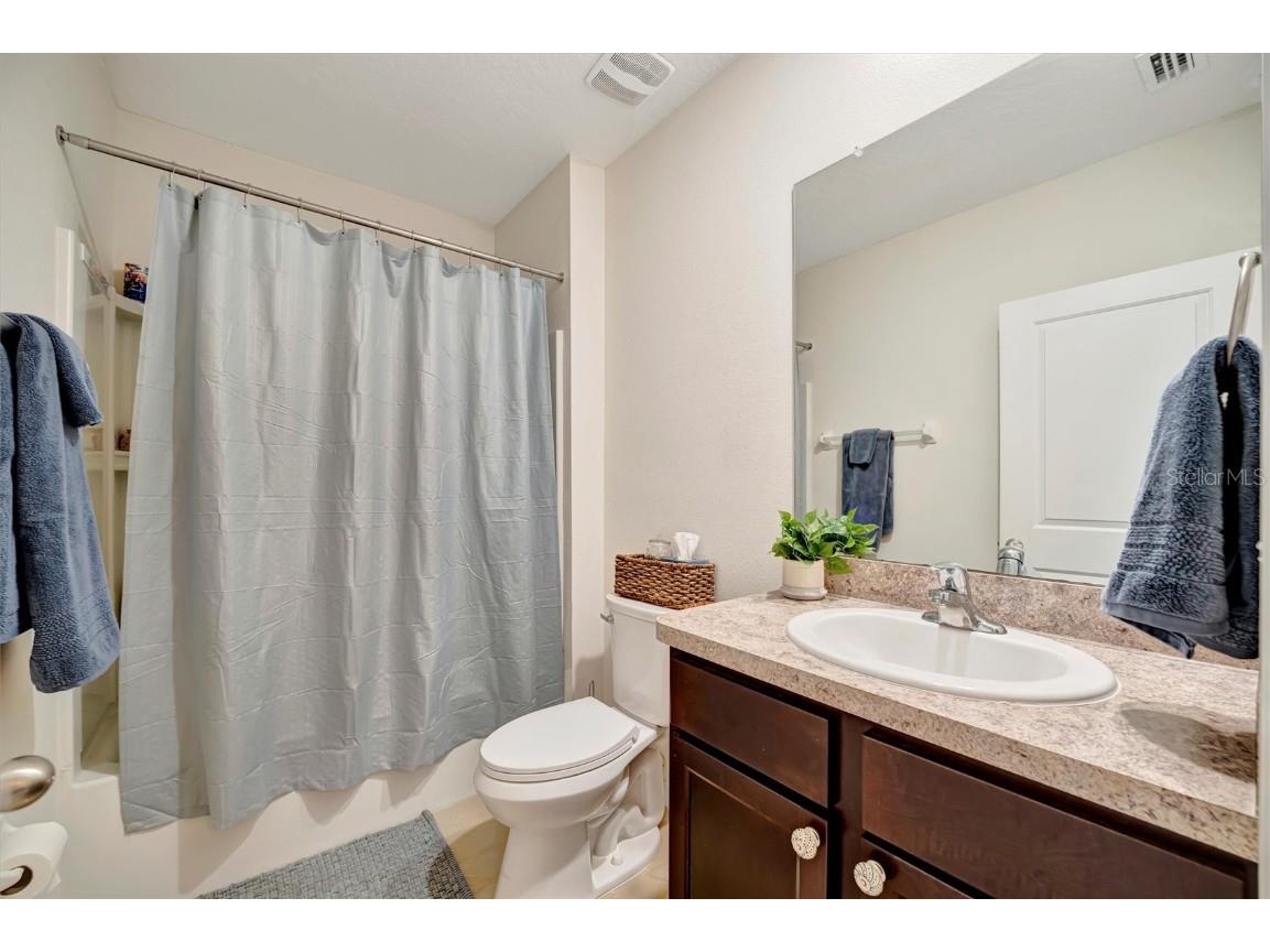 16341 Little Garden Drive Wimauma FL 33598 A4676985 image33