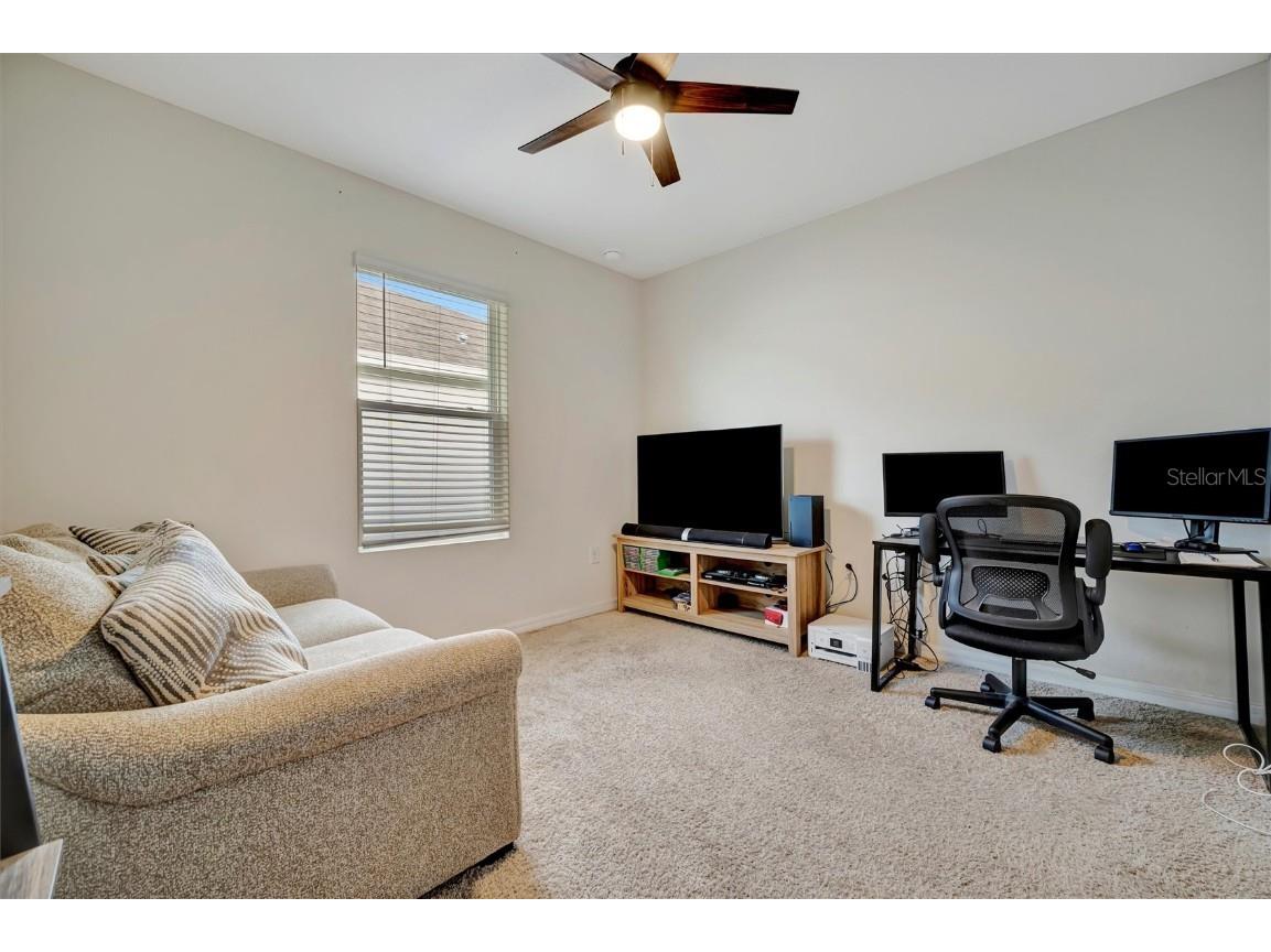 16341 Little Garden Drive Wimauma FL 33598 A4676985 image38