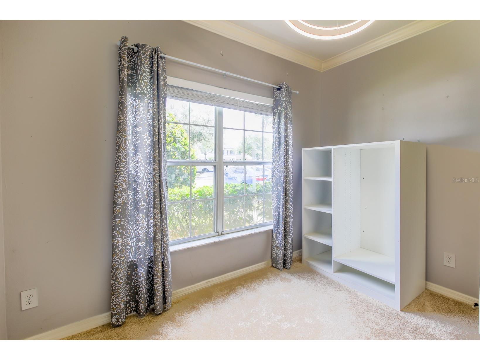 16342 Rollingbrook Drive Odessa FL 33556 TB8512109 image10