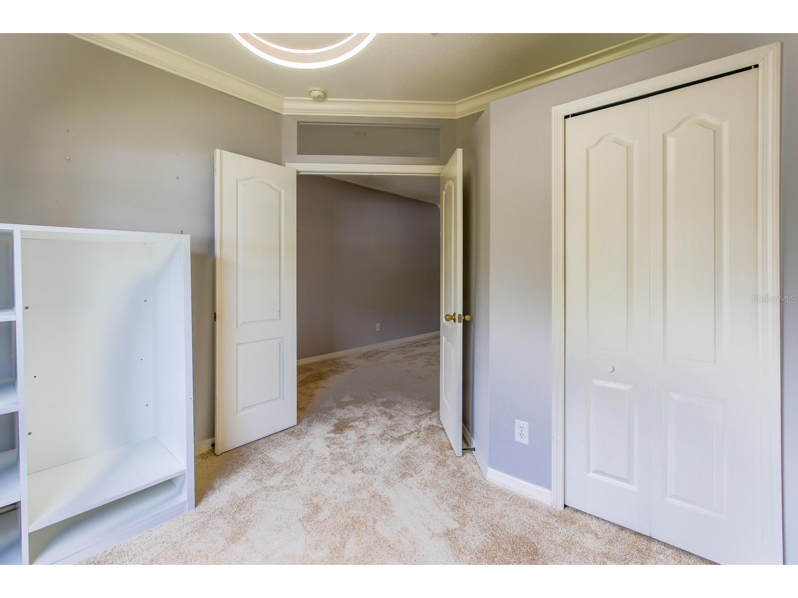 16342 Rollingbrook Drive Odessa FL 33556 TB8512109 image11