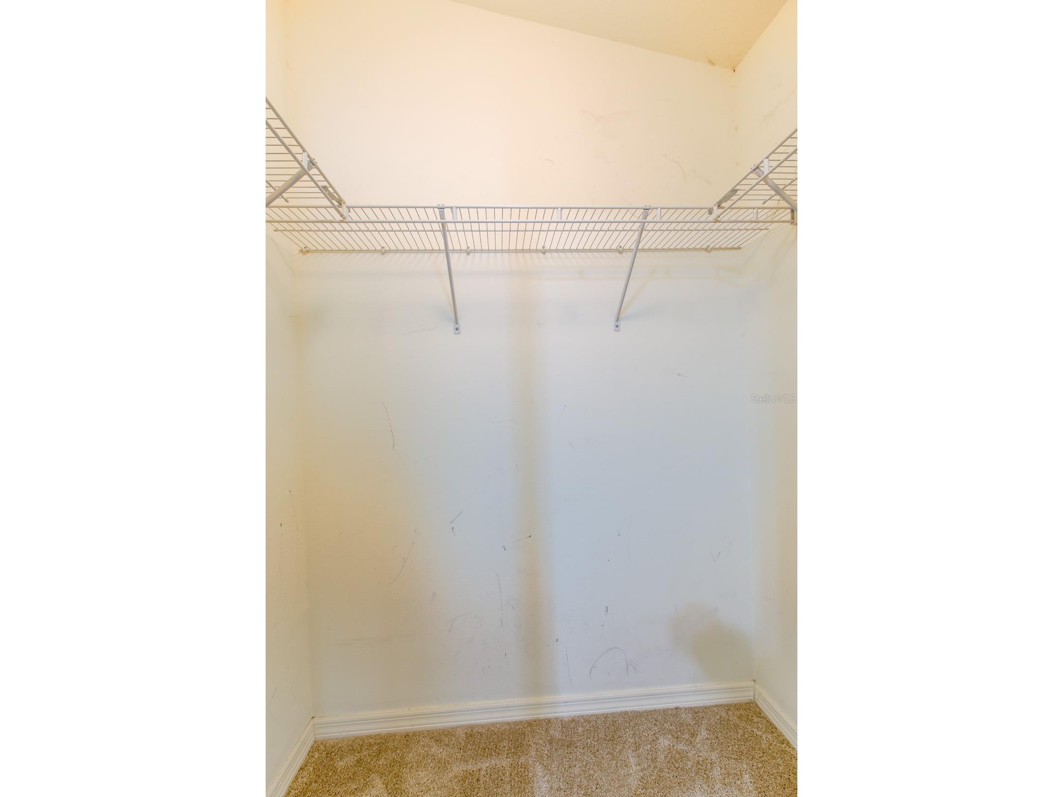 16342 Rollingbrook Drive Odessa FL 33556 TB8512109 image28