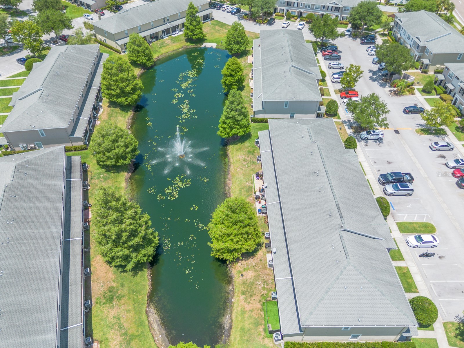 16342 Rollingbrook Drive Odessa FL 33556 TB8512109 image43