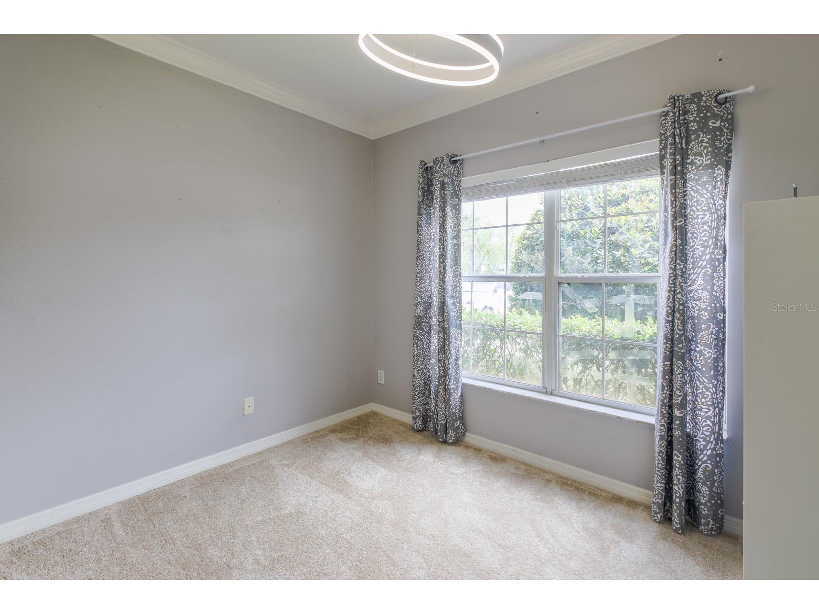 16342 Rollingbrook Drive Odessa FL 33556 TB8512109 image9