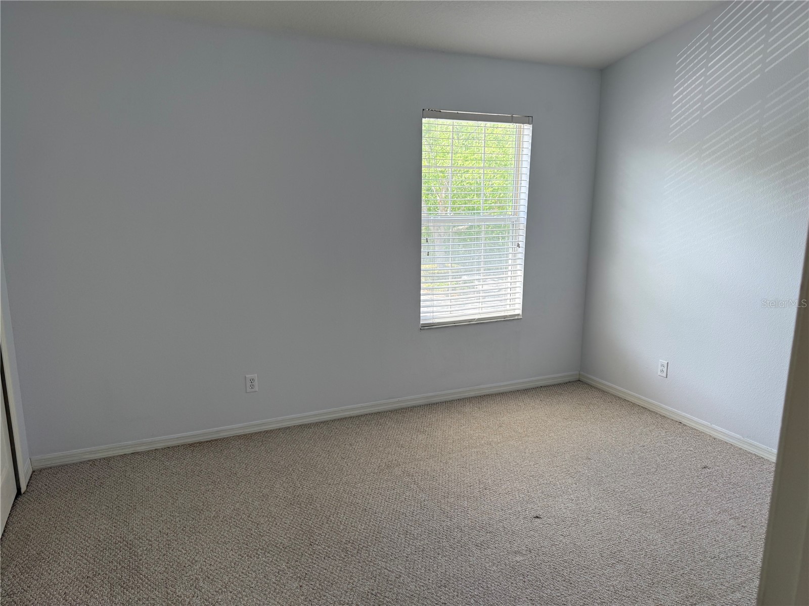 16344 Swan View Circle Odessa FL 33556 TB8493362 image10