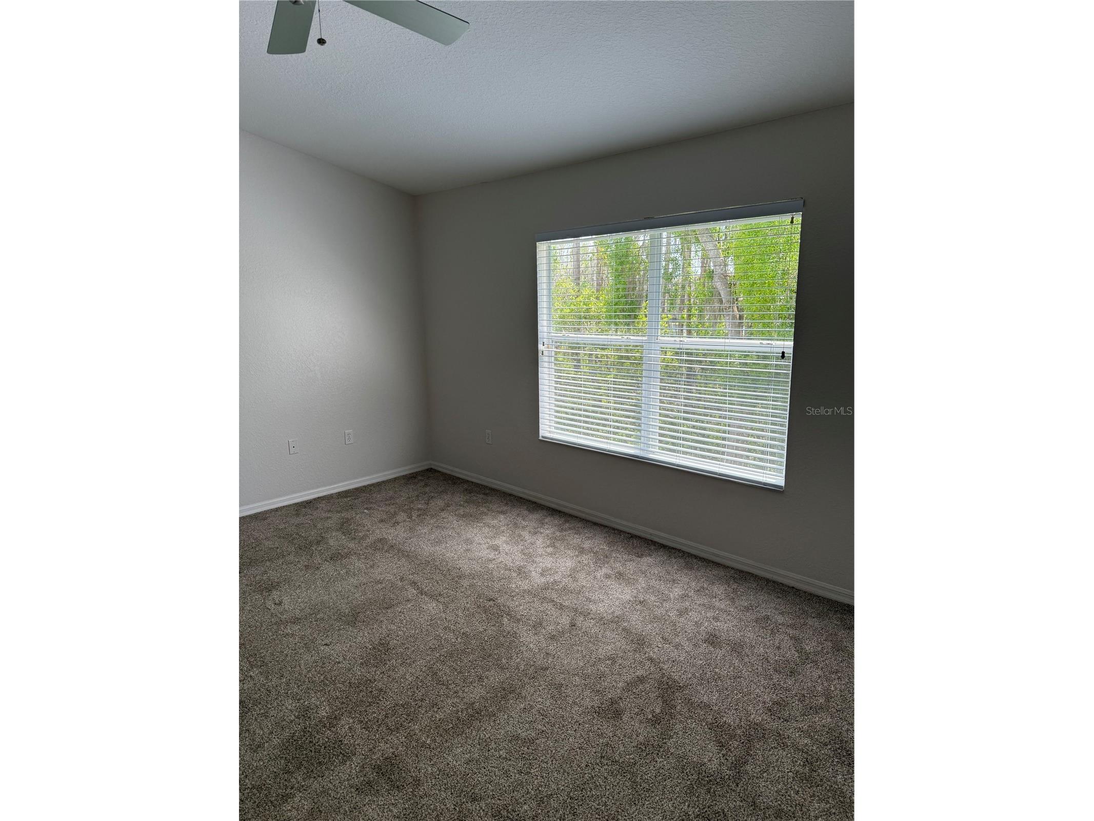 16344 Swan View Circle Odessa FL 33556 TB8493362 image11