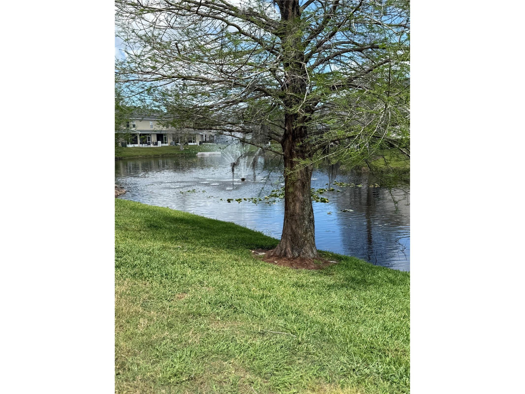 16344 Swan View Circle Odessa FL 33556 TB8493362 image14