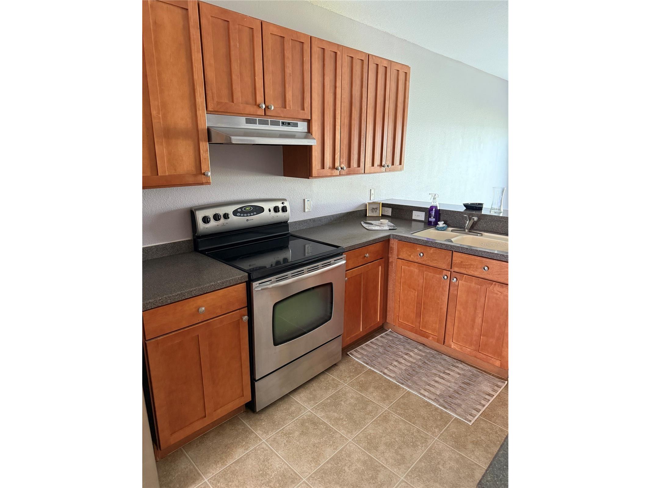 16344 Swan View Circle Odessa FL 33556 TB8493362 image2
