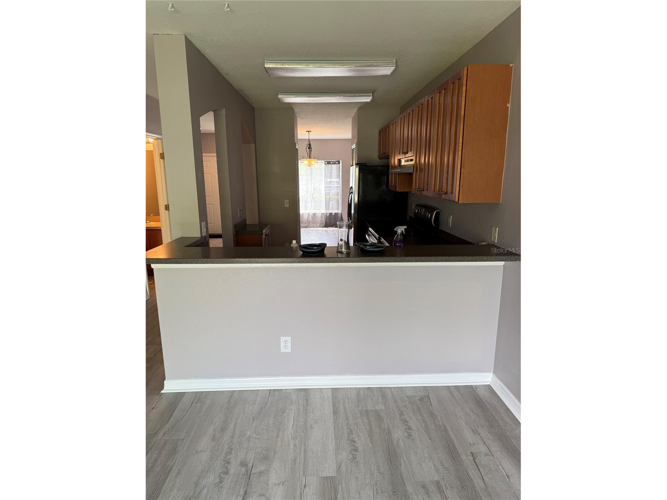 16344 Swan View Circle Odessa FL 33556 TB8493362 image5
