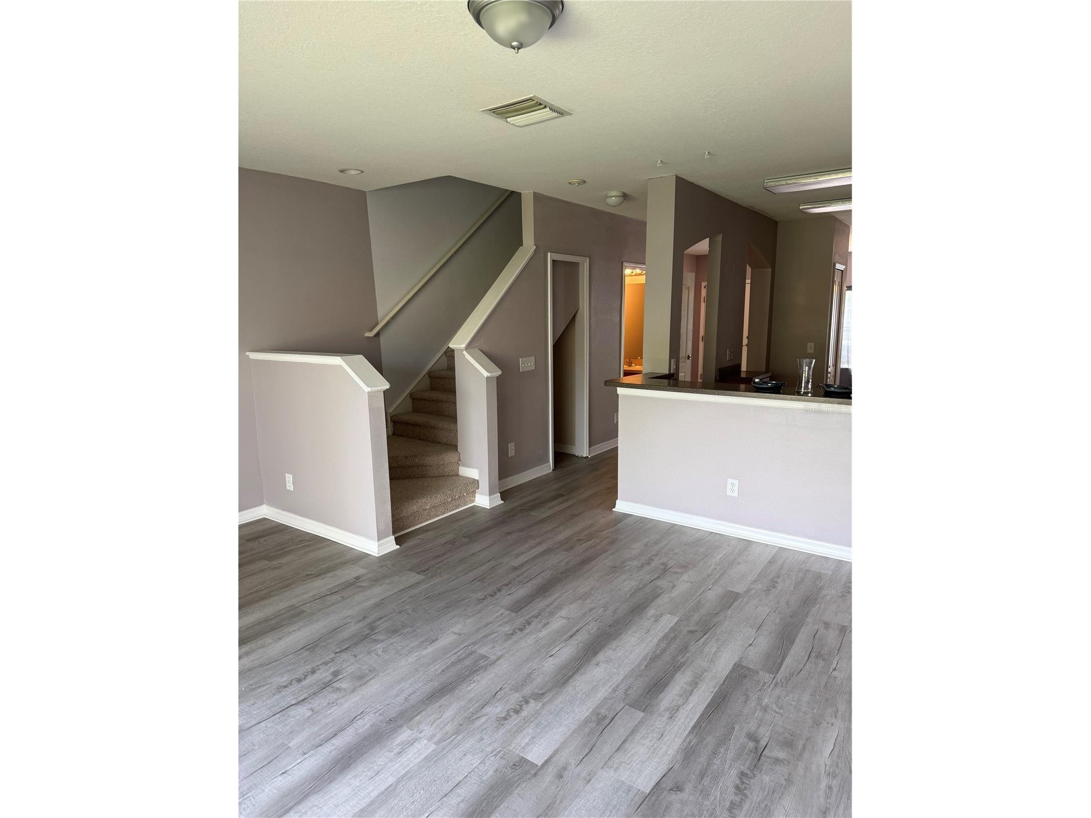 16344 Swan View Circle Odessa FL 33556 TB8493362 image6