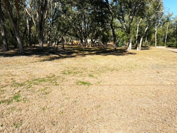16347 Albright Road Spring Hill FL 34610 W7882776 image2